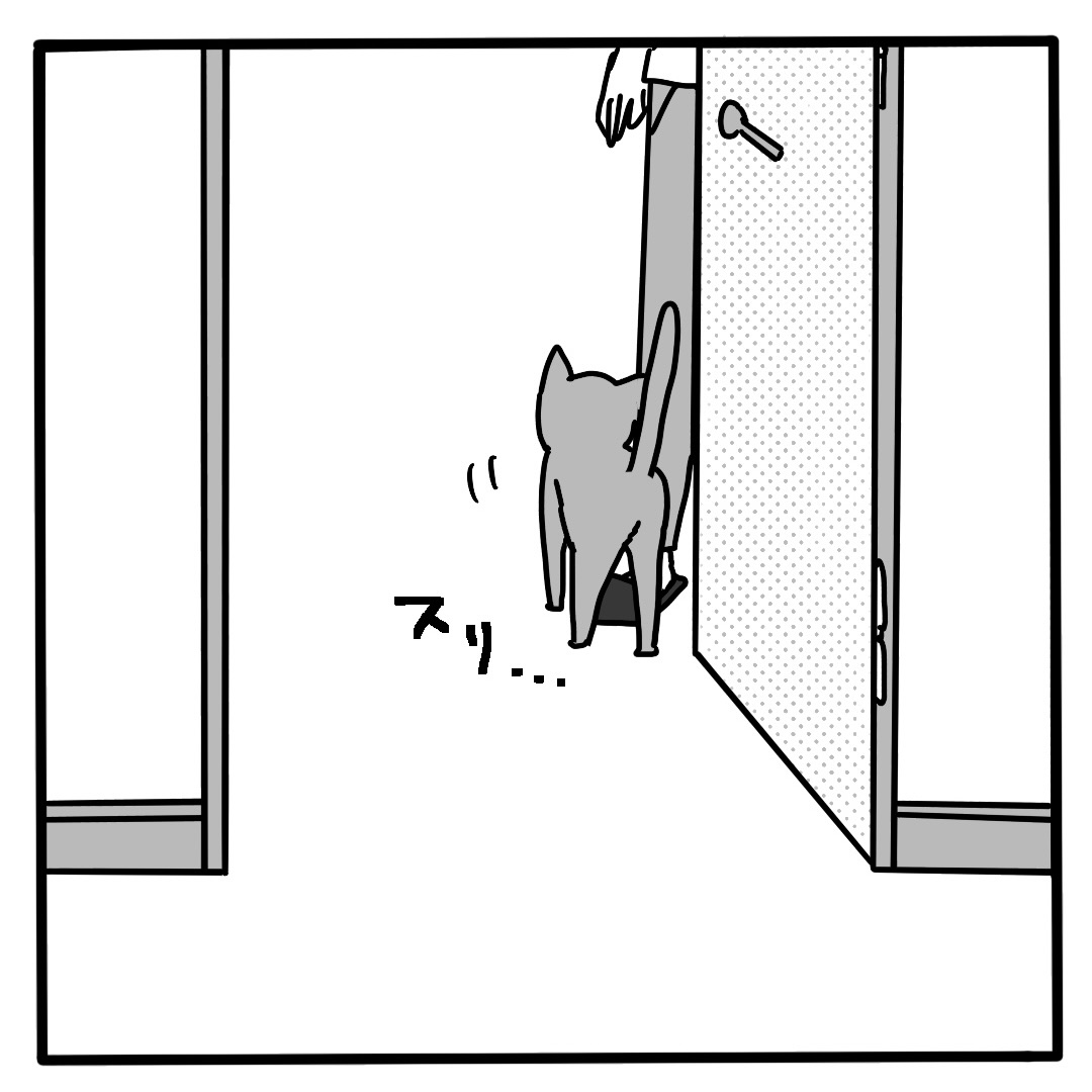 猫に従属する猫奴隷、いえ、猫執事です